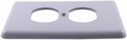 PVC Single Gang Cover Plate with Brass Screws, Grey, Durable for Indoor Use