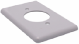 PVC Single Gang Cover Plate with Brass Screws, Grey, Durable for Indoor Use