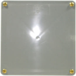 Scepter 8 Inch x 8 Inch x 4 Inch PVC Junction Box with Gasket, NEMA Rated