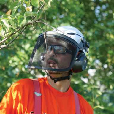 Replacement Face Shield, Mesh