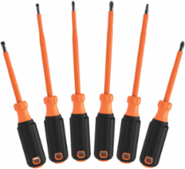 Insulated Screwdriver Set, 6-Piece, 1000V Rated, 4" & 6" Shanks