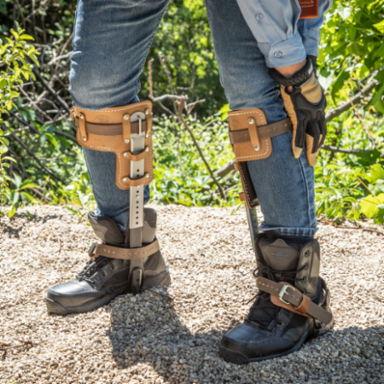 Tree Climber Set with 2-3/4 Inch Gaffs, 15-19 Inch Adjustable Straps