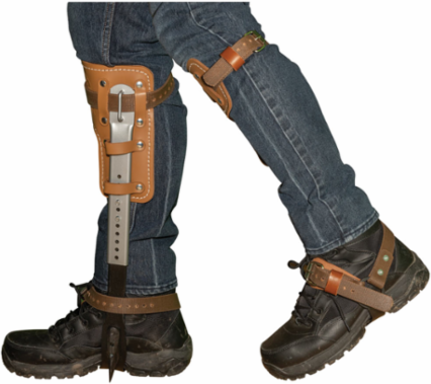 Pole Climbers Set with 1-9/16 Inch Gaffs, 8 Inch Cushioned Pads, 6 lbs Weight