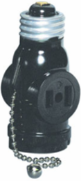Indoor 2-Pole 2-Wire Lampholder Adapter, 660 Watt, 125 Volt, Black