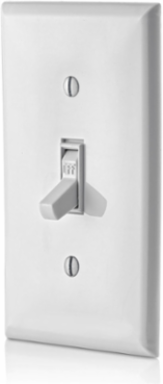 15 Amp Toggle Switch, 120 Volt, Thermoplastic, Grounding, UL/CSA Certified