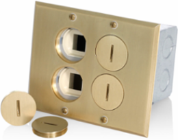 2-Gang Low Voltage Tamper-Resistant Outlet Floor Box Assembly, 15 Amp, Brass