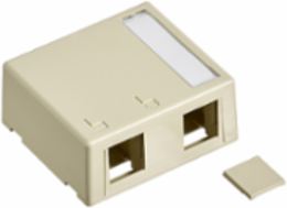 Surface-Mount Box, Plenum-Rated, 2-Port, Ivory, RoHS Compliant