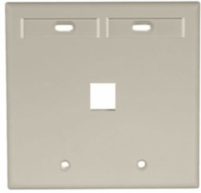 Dual-Gang QUICKPORT Wallplate with 2 ID Windows, Ivory, High-Impact Plastic