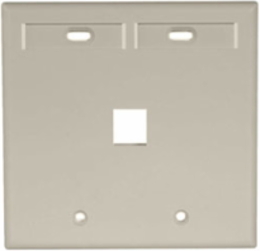 Dual-Gang QUICKPORT Wallplate with 2 ID Windows, Ivory, High-Impact Plastic