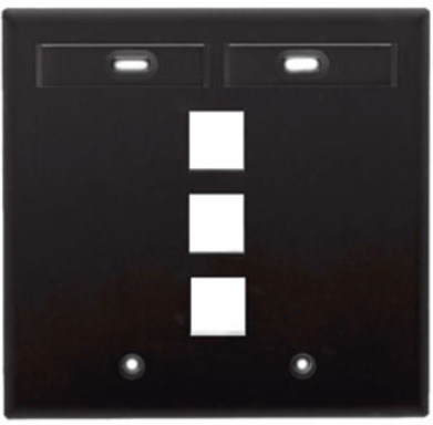 Dual-Gang QUICKPORT Wallplate with 3 ID Windows, Black, High-Impact Plastic