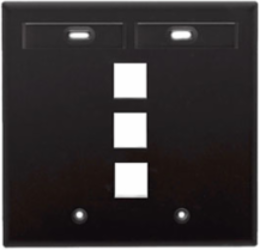 Dual-Gang QUICKPORT Wallplate with 3 ID Windows, Black, High-Impact Plastic