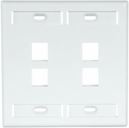 Dual-Gang Wallplate with 4 ID Windows, White, High-Impact Plastic