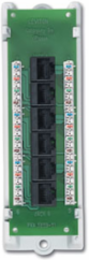 Cat 5e Voice & Data Expansion Module, 6-Port, 2.132 Inch Width