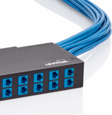 24-Port Low-Profile Zone Enclosure, Designed for Indoor Use, 16-Gauge Steel