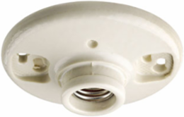 Glazed Porcelain Keyless Incandescent Lampholder, 660W, Medium Base, 3-1/4 or 4 Inch