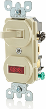 Duplex Style 15 Amp Combination Switch with Neon Pilot, 120 Volt, Ivory