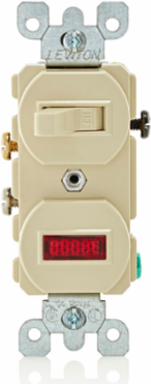 Duplex Style 15 Amp Combination Switch with Neon Pilot, 120 Volt, Ivory
