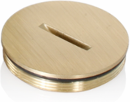 Replacement Screw Cap with O-Ring for Floor Box Receptacle Assembly, Brass