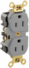 15 Amp Duplex Receptacle Outlet, Self-Grounding, Gray, 125 Volt, Extra Heavy-Duty