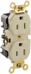 15 Amp Duplex Receptacle, Industrial Grade, Self-Grounding, 125 Volt