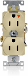 15 Amp Heavy-Duty Isolated Ground Duplex Receptacle, 125 Volt, NEMA 5-15R, Nylon