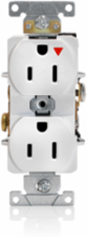 15 Amp Isolated Ground Duplex Outlet, Industrial Grade, NEMA 5-15R
