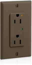 Decora Plus 15 Amp Surge Protective Duplex Receptacle Outlet, 125 Volt, Brown
