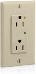 Decora Plus Surge Protective Duplex Receptacle Outlet 15 Amp 125 Volt Ivory