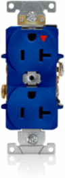 20 Amp Isolated Ground Duplex Receptacle, Industrial Grade, Blue, 125 Volt