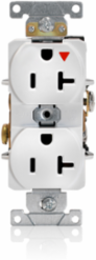 20 Amp Isolated Ground Duplex Receptacle, Heavy-Duty, NEMA 5-20R, Self-Grounding