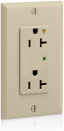 Decora Plus 20 Amp 125 Volt Surge Protective Duplex Receptacle Outlet, Ivory