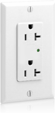 Decora Plus 20 Amp 125 Volt Surge Protective Duplex Receptacle Outlet