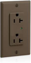 Decora Plus 20 Amp 125 Volt Surge Protective Duplex Receptacle, Commercial Grade