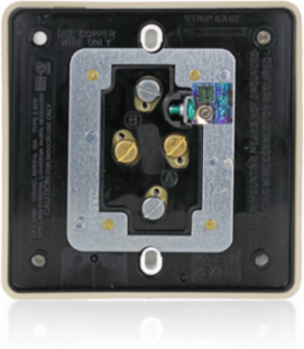 Heavy-Duty 15 Amp 125 Volt Surge Protected Quadruplex Receptacle - Industrial Grade