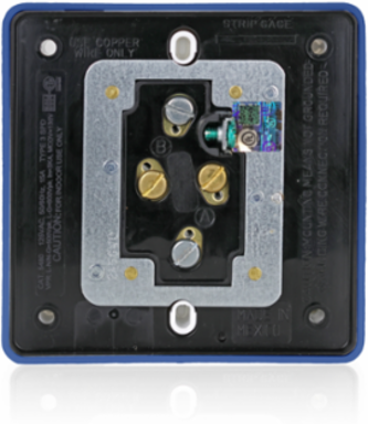 20 Amp 125 Volt Surge Protected Quadruplex Receptacle - Industrial Grade, NEMA 5-20R