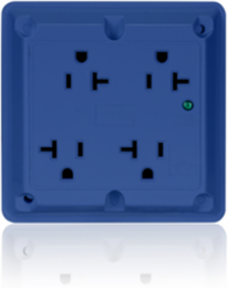 20 Amp 125 Volt Surge Protected Quadruplex Receptacle - Industrial Grade, NEMA 5-20R