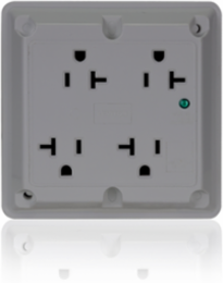 Surge Protected Quadruplex Receptacle 20 Amp 125 Volt Industrial Grade