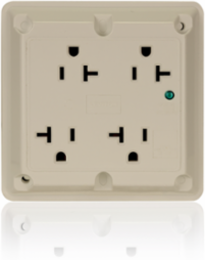 20 Amp 125 Volt Surge Protected Quadruplex Receptacle, Ivory, Industrial Grade