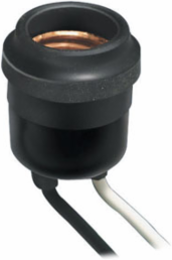 Weatherproof Keyless Lampholder for Wet Locations, 660W-250V with 6 Inch Leads