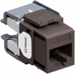EXTREME Cat 6A QUICKPORT Jack, Punchdown Termination, Unshielded, Brown
