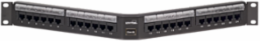 Cat 6 24-Port Angled 110-Style Patch Panel, 1RU, Black with Magnifying Lens Label Holder