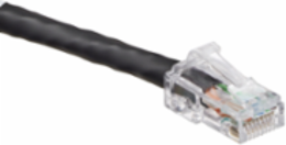 Cat 6 UTP Patch Cord 1 Ft Snagless Black, RoHS Compliant, Power Over Ethernet Support