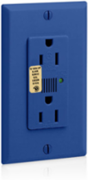 Decora Plus 15 Amp Surge Protective Duplex Receptacle Outlet, 125 Volt, NEMA 5-15R