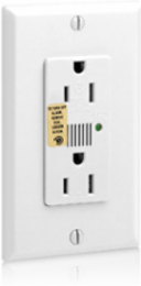Decora Plus 15 Amp Duplex Surge Protective Outlet, 125 Volt, NEMA 5-15R
