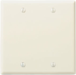 2-Gang Blank Wallplate, Standard Size, Box Mount, Light Almond
