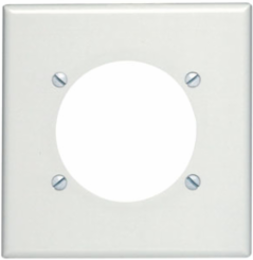 2-Gang Flush Mount Wallplate, Standard Size, Light Almond, Thermoset Plastic