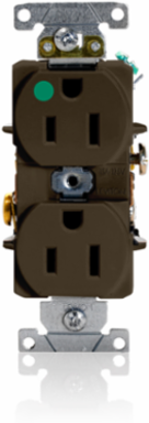Heavy-Duty Hospital Grade Duplex Receptacle, 15 Amp, 125 Volt, Self-Grounding
