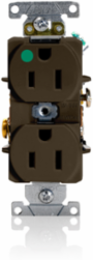 Heavy-Duty Hospital Grade Duplex Receptacle, 15 Amp, 125 Volt, Self-Grounding