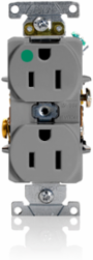 15 Amp Hospital Grade Duplex Receptacle Outlet, Self-Grounding, Gray