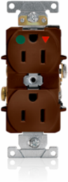 15 Amp Isolated Ground Duplex Receptacle/Outlet, Hospital Grade, Self-Grounding